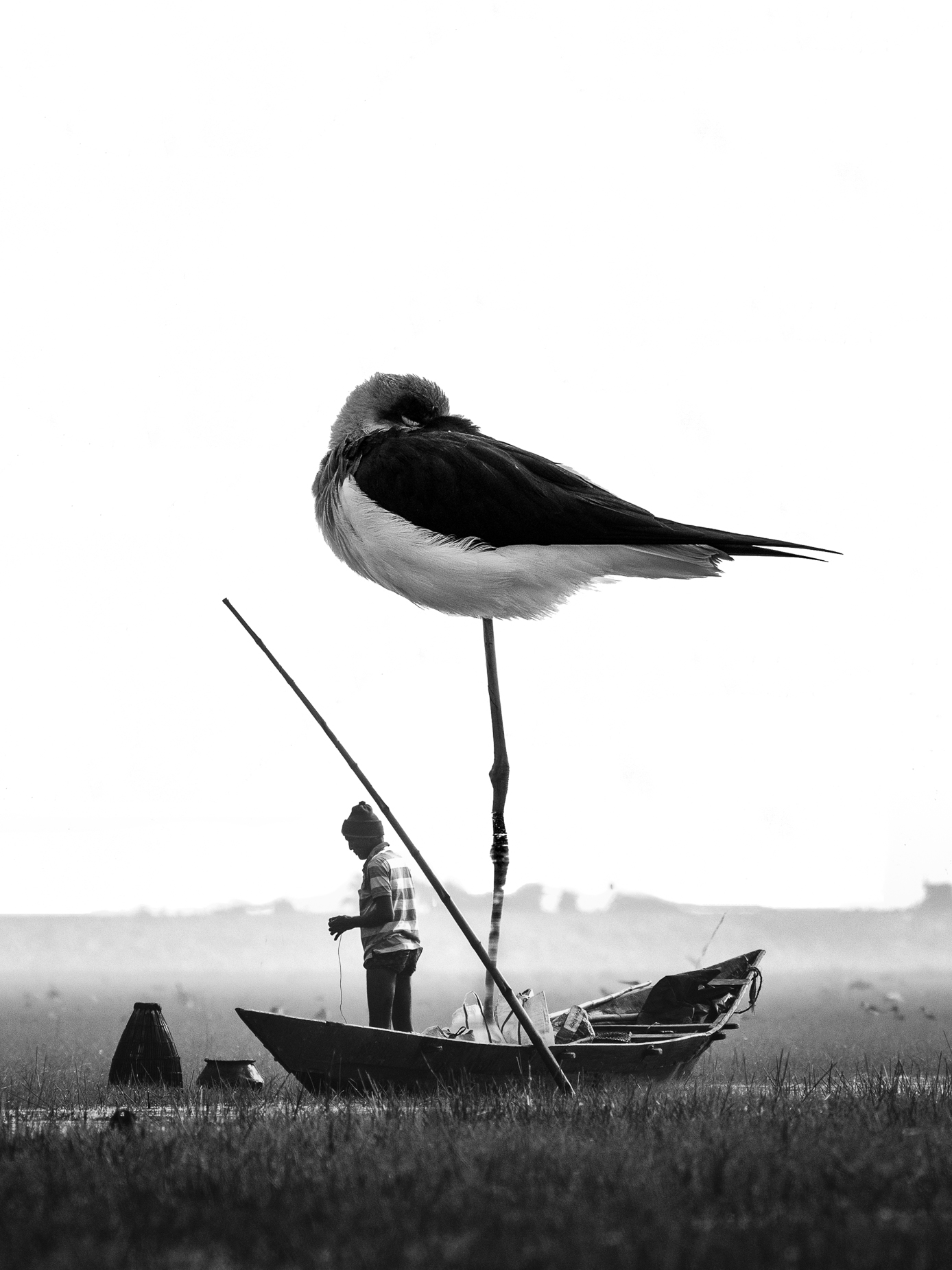 PT Vol 23 - Travelogue -Mangalajodi - Orissa, India - Praveen Mohandas