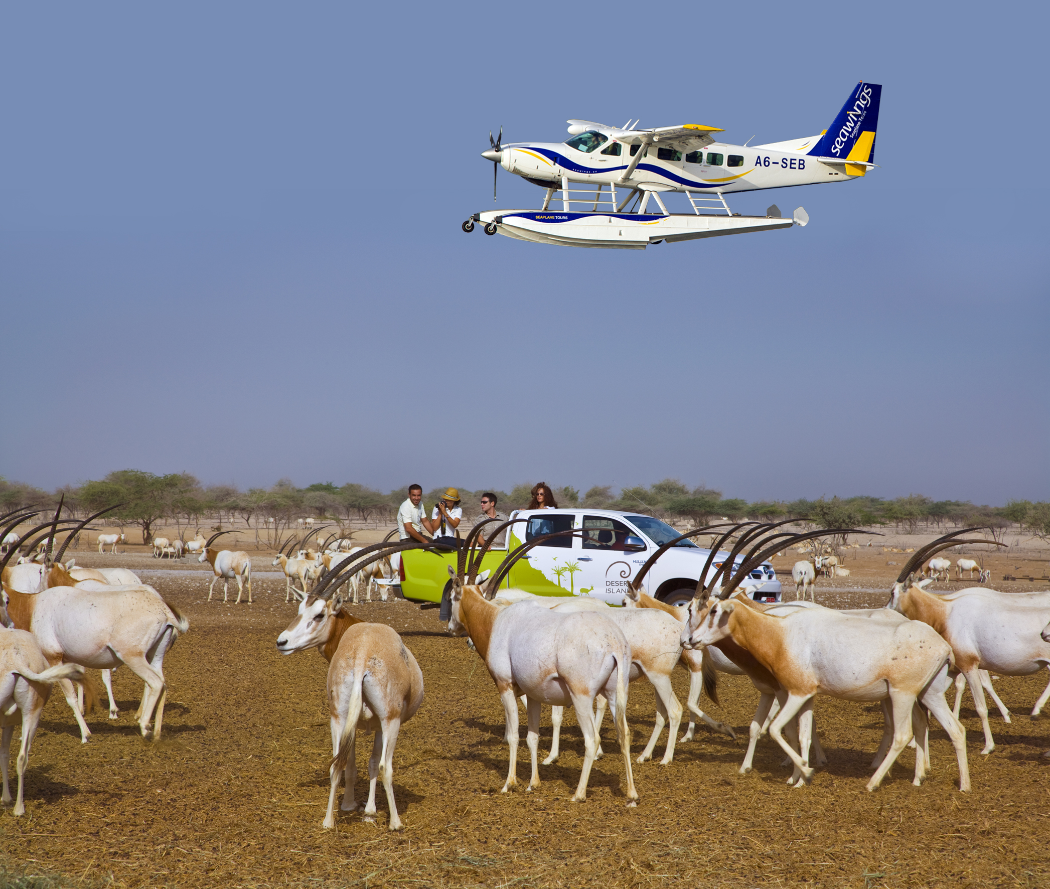 Sir Bani Yas