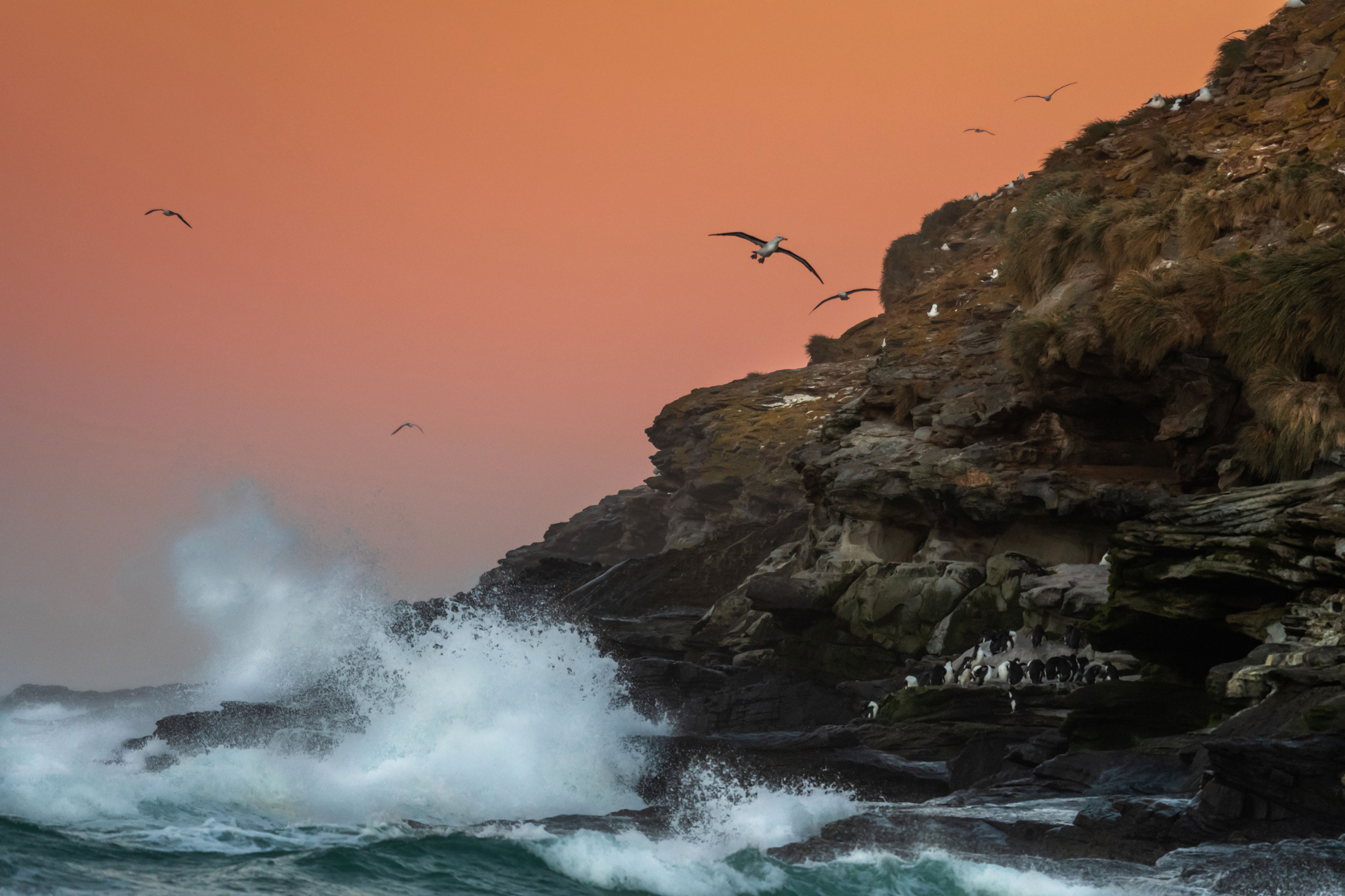 PT VOL 24 - Travel - Falkland Island - By Adriana Sanz