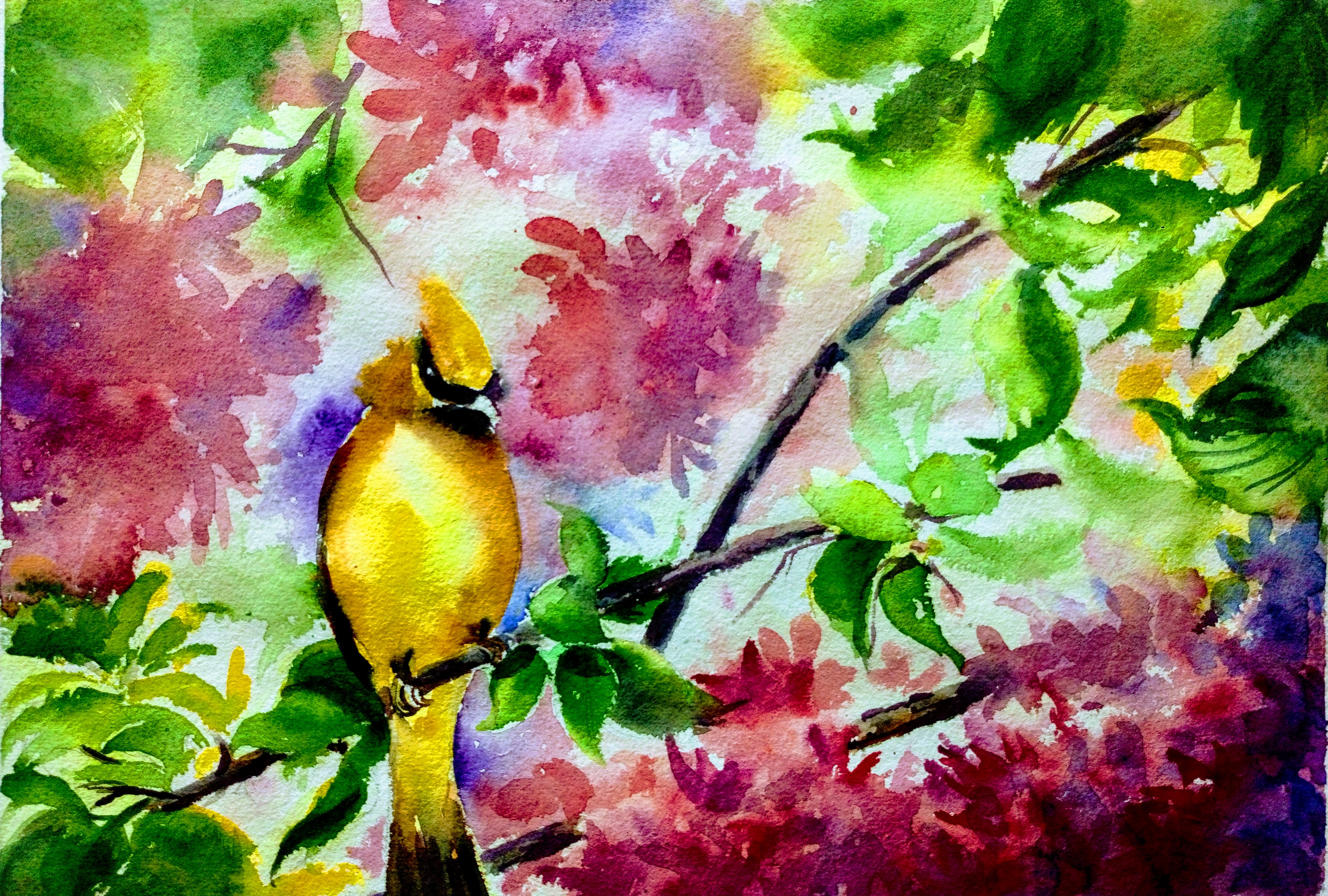 PT_VoL_35_wildArt_Mrinmay_Sebastian