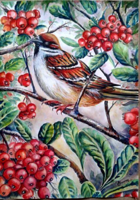 PT_VoL_35_wildArt_Mrinmay_Sebastian
