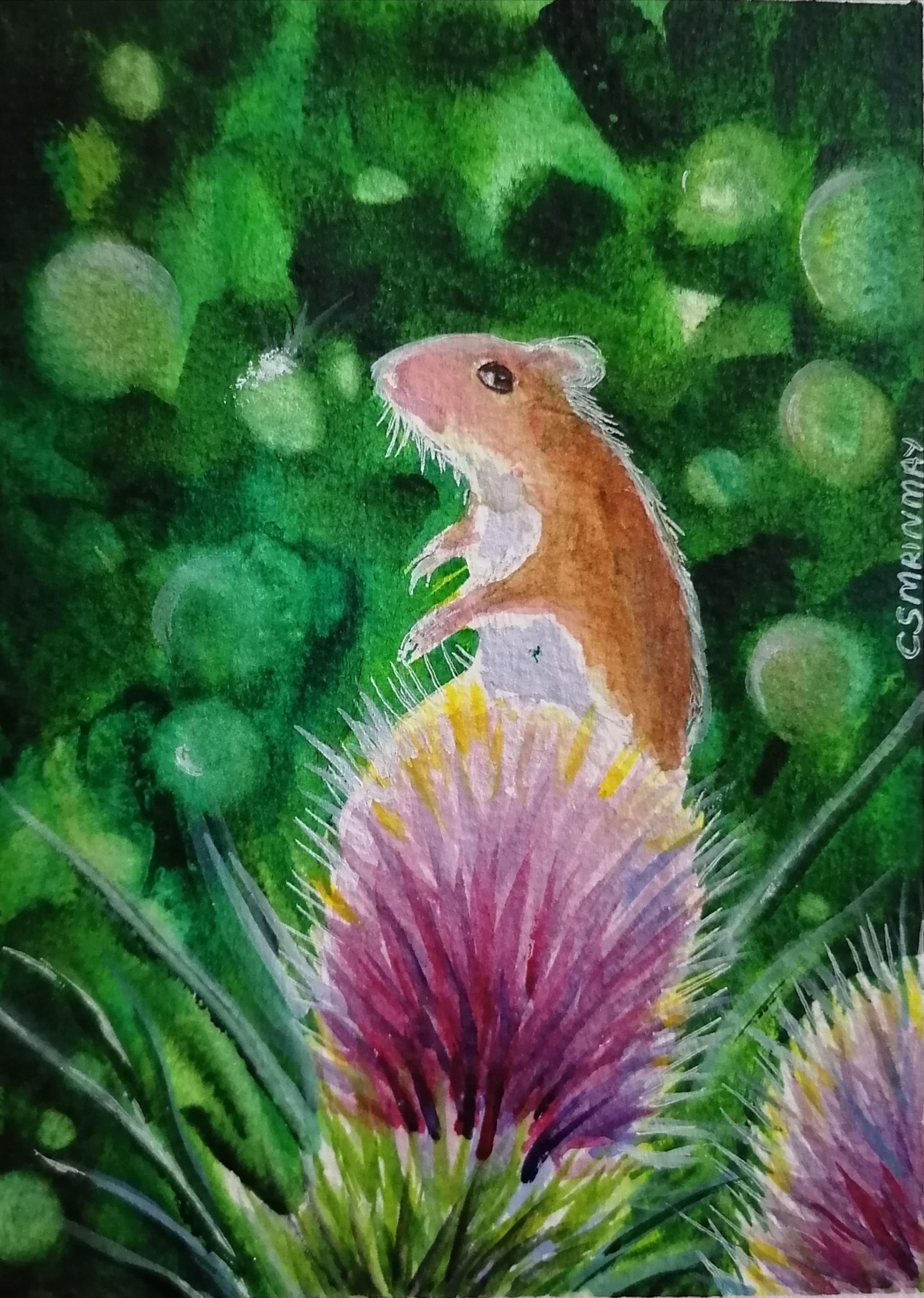 PT_VoL_35_wildArt_Mrinmay_Sebastian