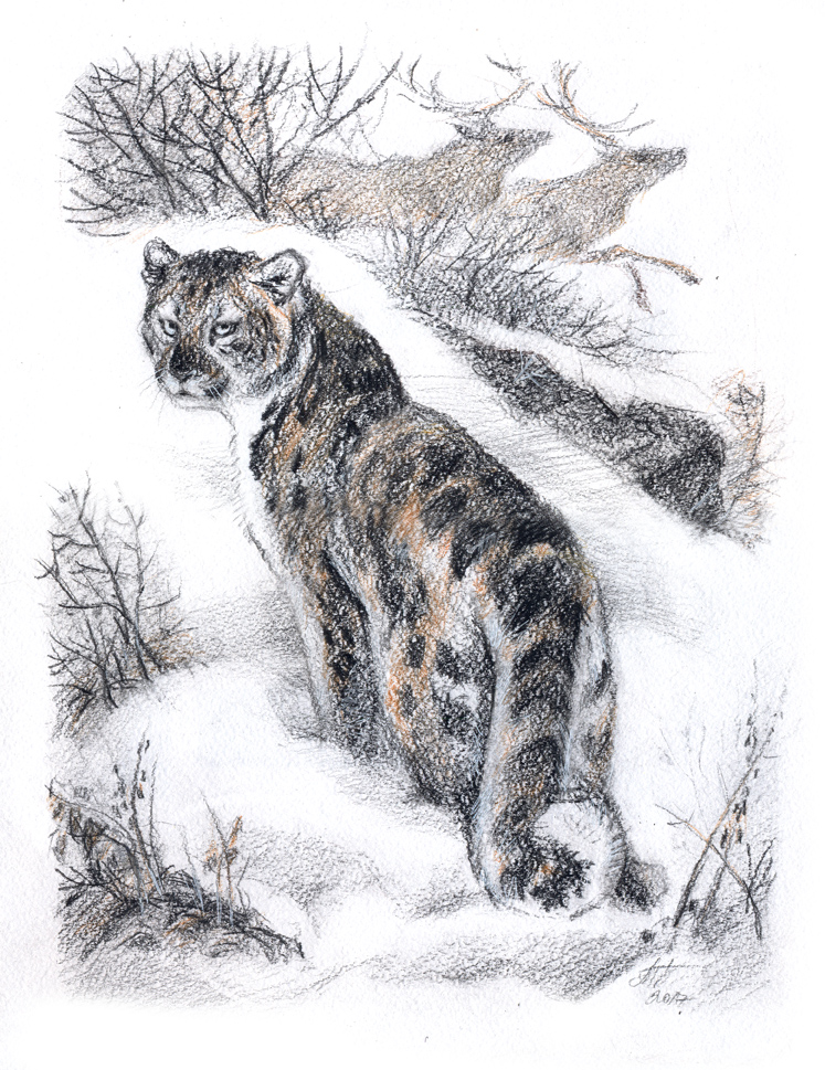 PT_Vol_13_Wildart_Tatiana_Petrova