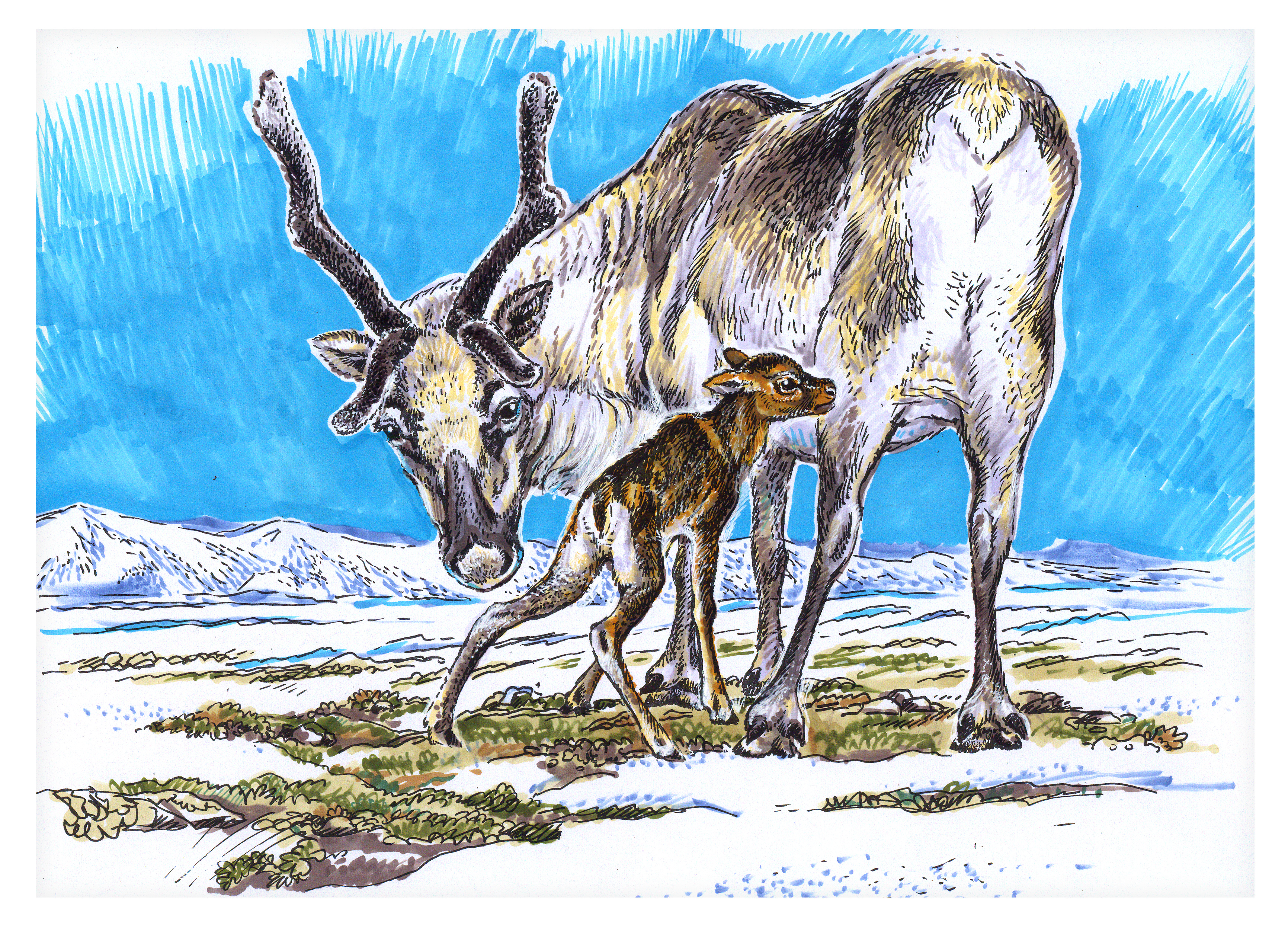 PT_Vol_13_Wildart_Tatiana_Petrova