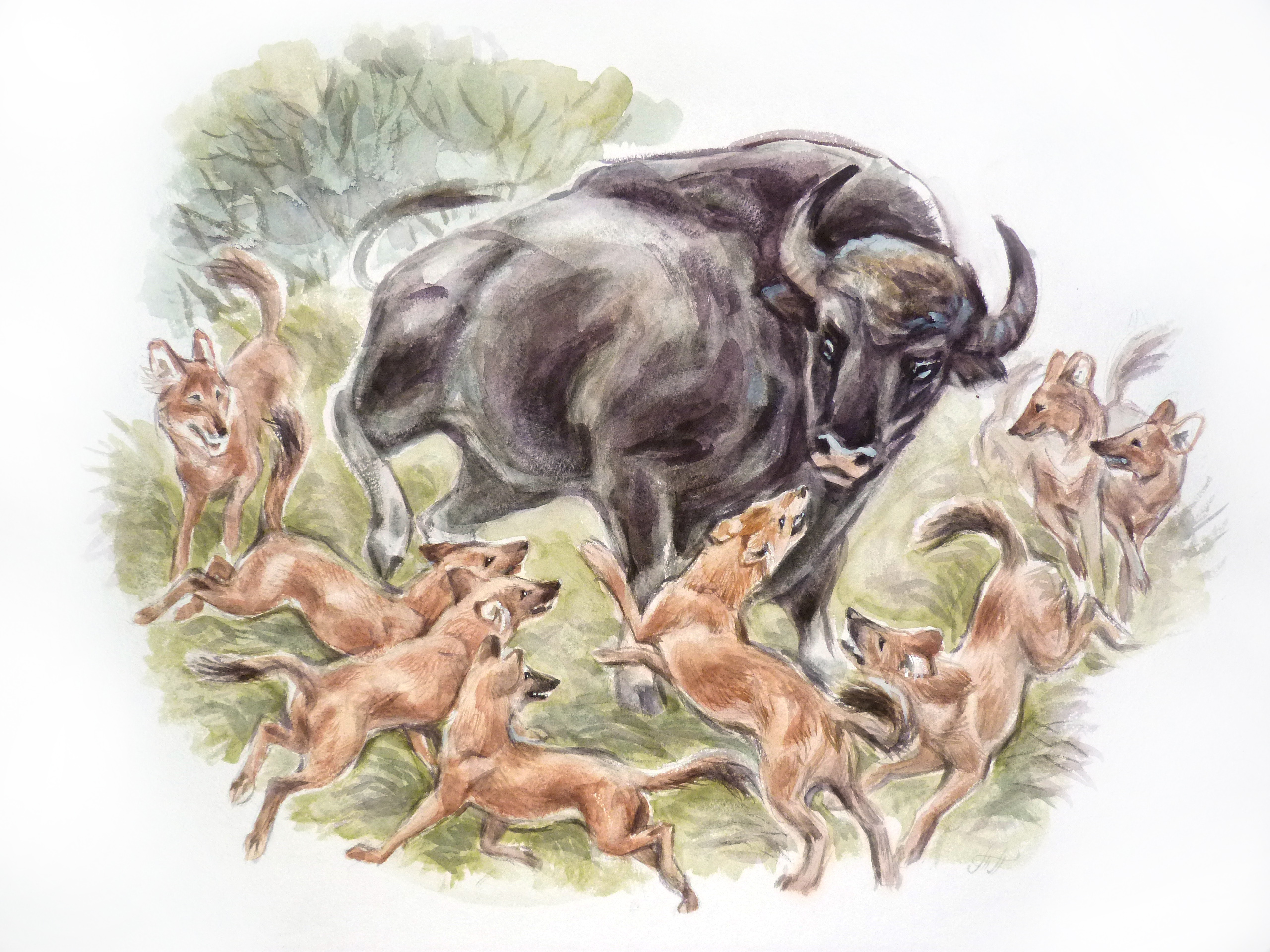 PT_Vol_13_Wildart_Tatiana_Petrova