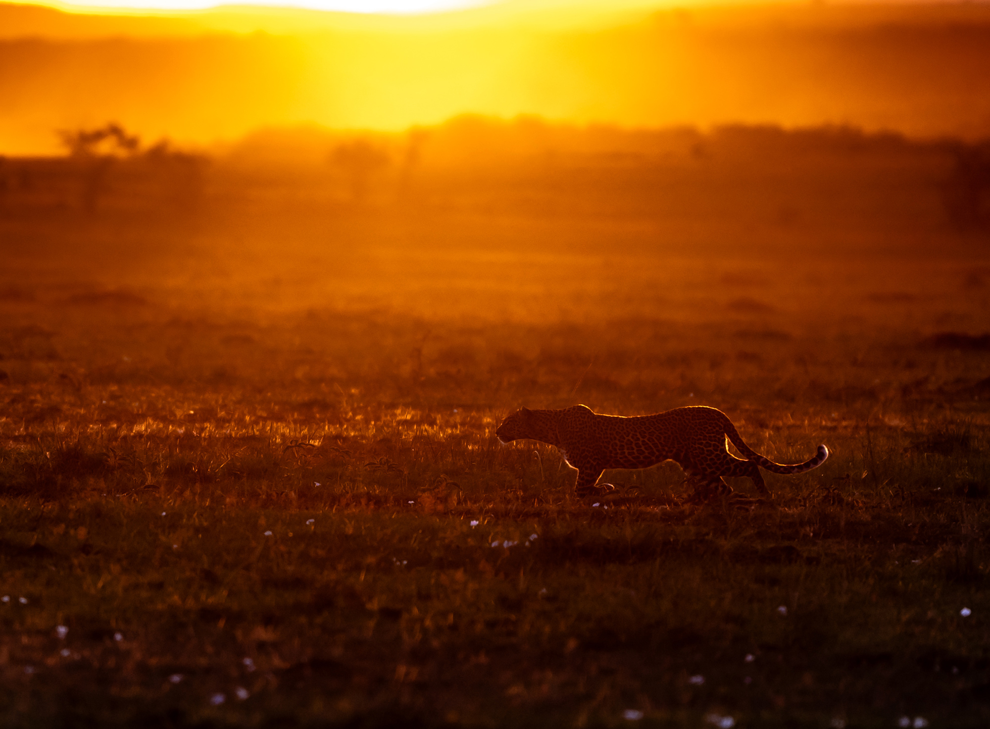 PT_Exp_Vol_41_TTL_Anosh_Koppikar