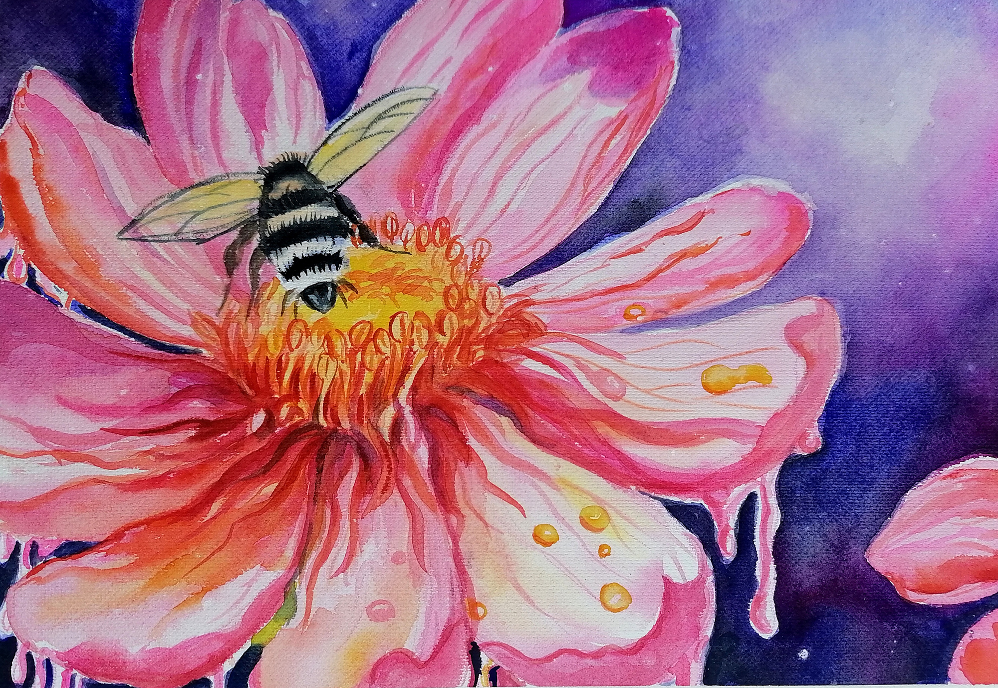 PT_Exp_Vol_42_Wildart_Mrinmay_Sebastian